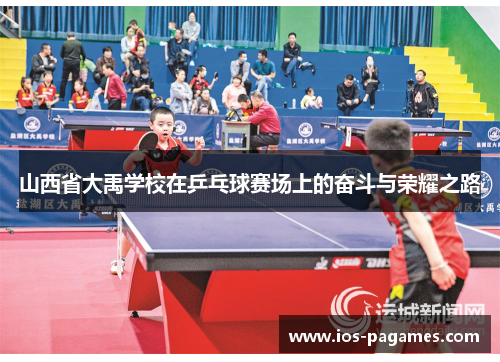 山西省大禹学校在乒乓球赛场上的奋斗与荣耀之路