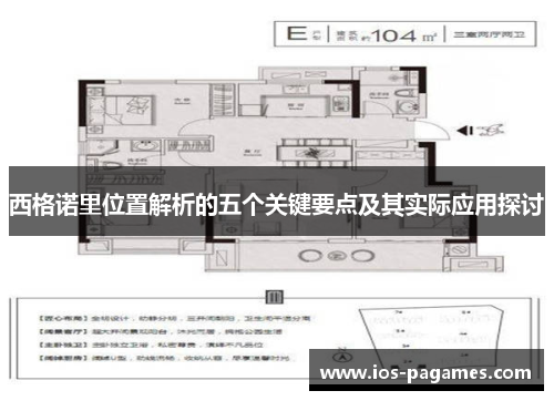 西格诺里位置解析的五个关键要点及其实际应用探讨