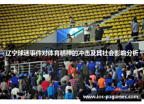 辽宁球迷事件对体育精神的冲击及其社会影响分析