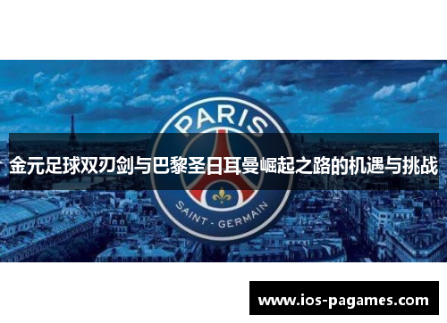 金元足球双刃剑与巴黎圣日耳曼崛起之路的机遇与挑战