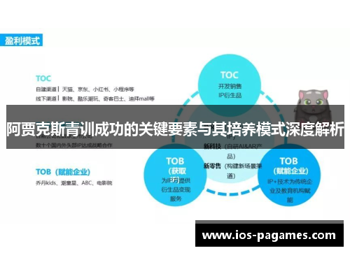 阿贾克斯青训成功的关键要素与其培养模式深度解析