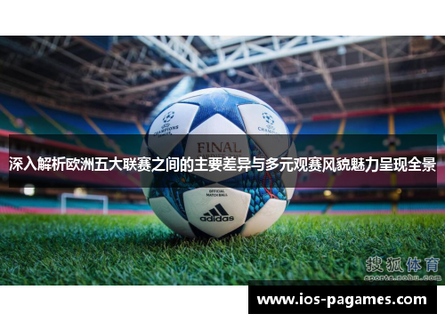 深入解析欧洲五大联赛之间的主要差异与多元观赛风貌魅力呈现全景 深入解析欧洲五大联赛之间的主要差异与多元观赛风貌魅力呈现全景