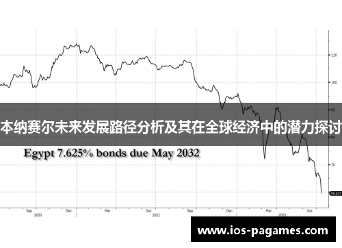 本纳赛尔未来发展路径分析及其在全球经济中的潜力探讨