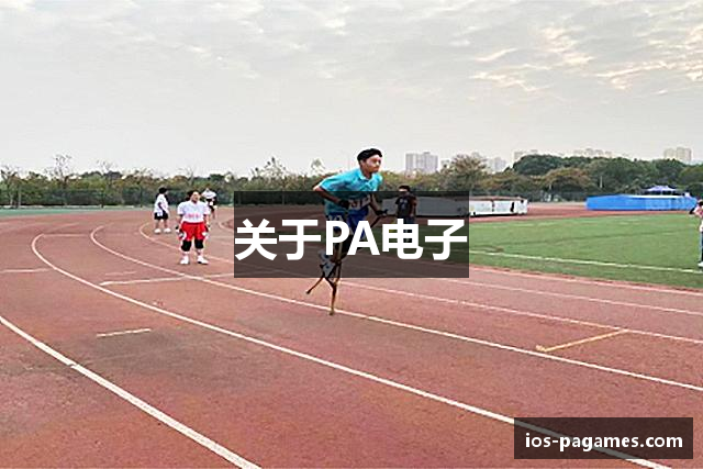 关于PA电子
